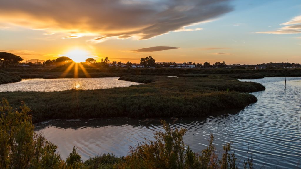 La réserve naturelle de Herdade da Mourisca au soleil couchant