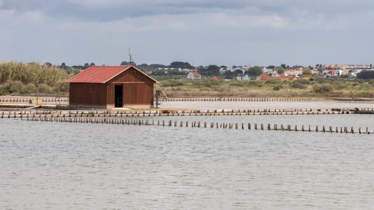 RANDONNEE DANS LES SALINES DE SAMOUCO