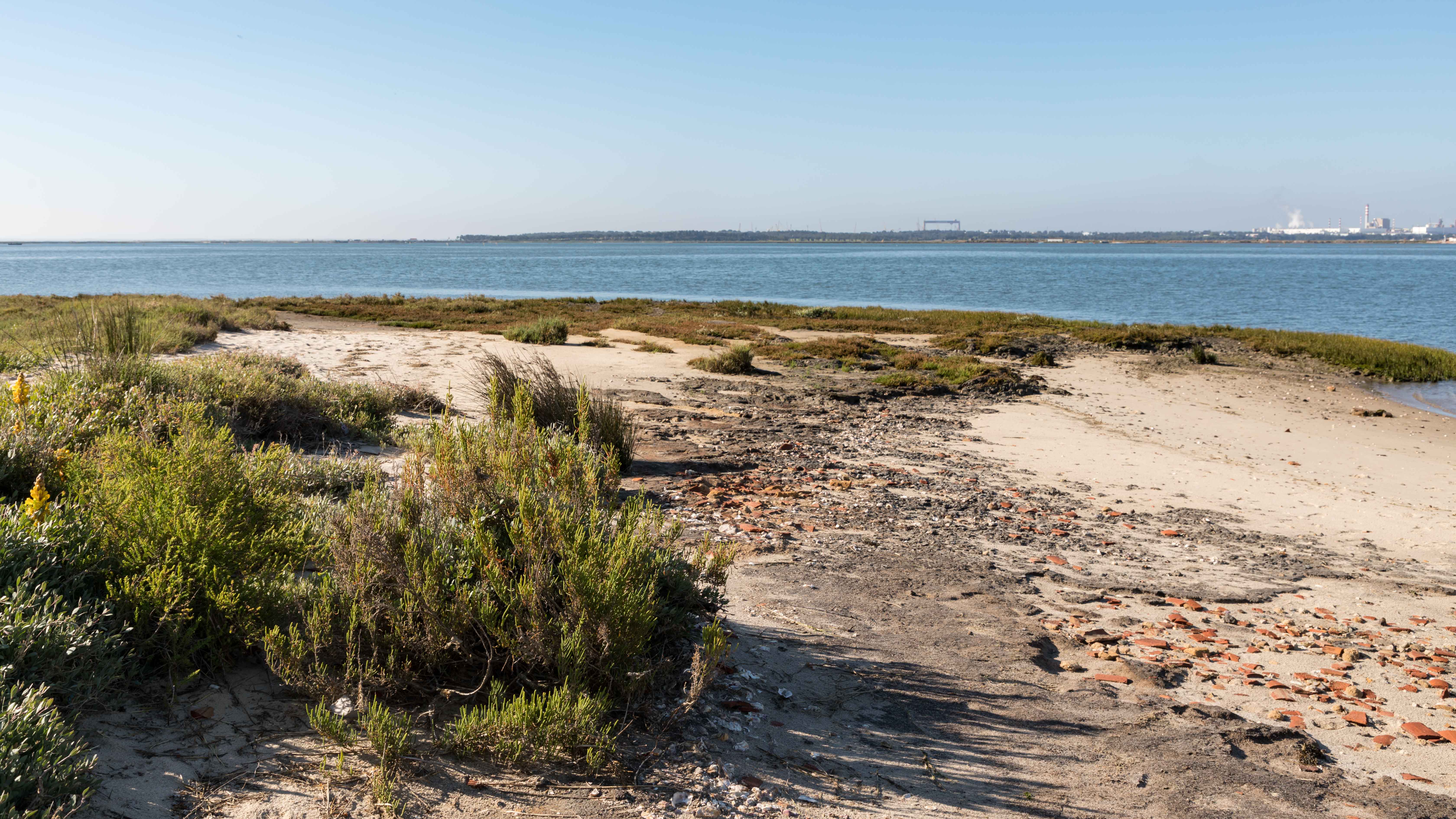 LA RESERVE NATURELLE DE L’ESTUAIRE DU SADO :  A HERDADE DE GAMBIA ET A ZAMBUJAL