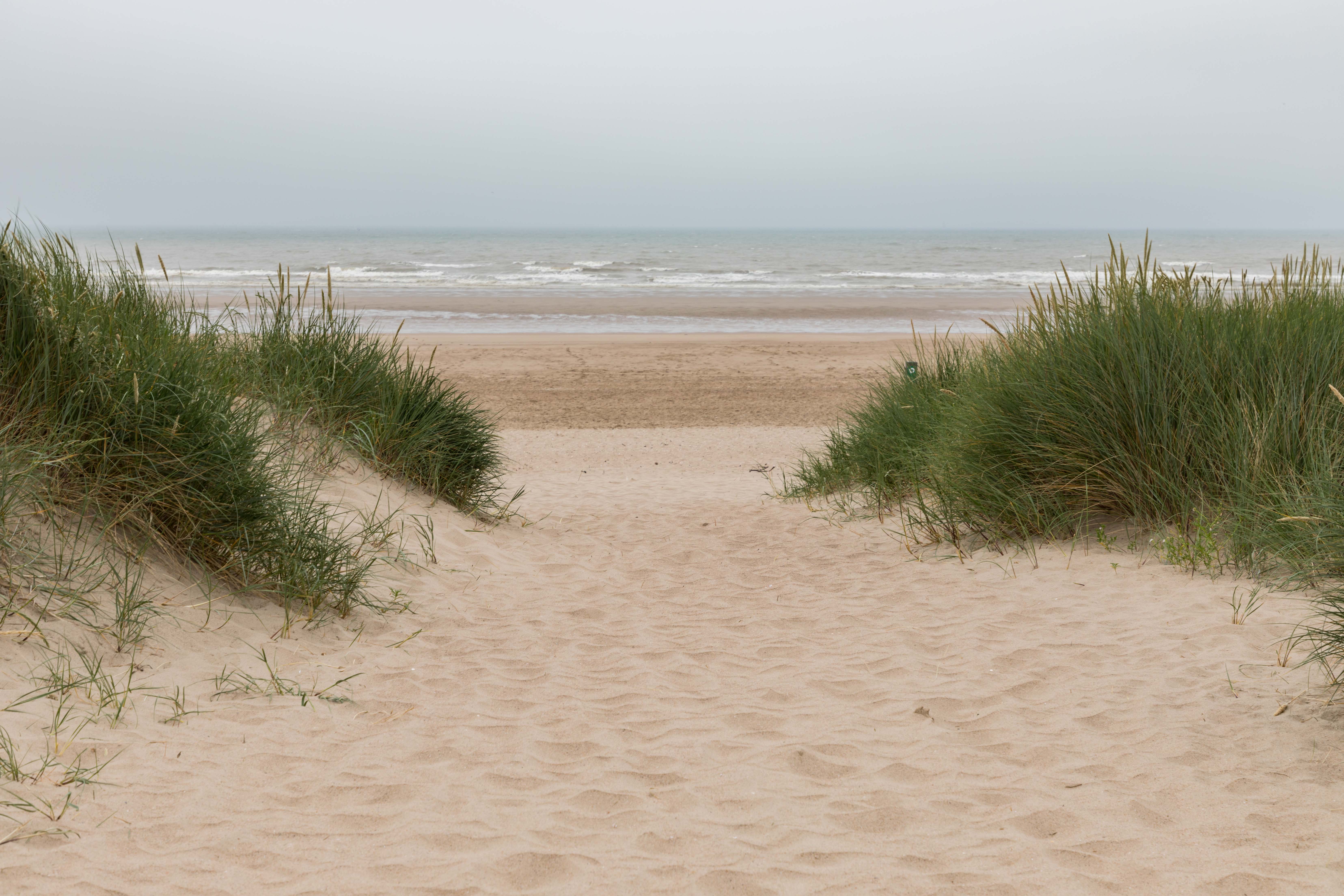 RANDONNEE DANS LA RESERVE NATURELLE DU PLATIER D’OYE