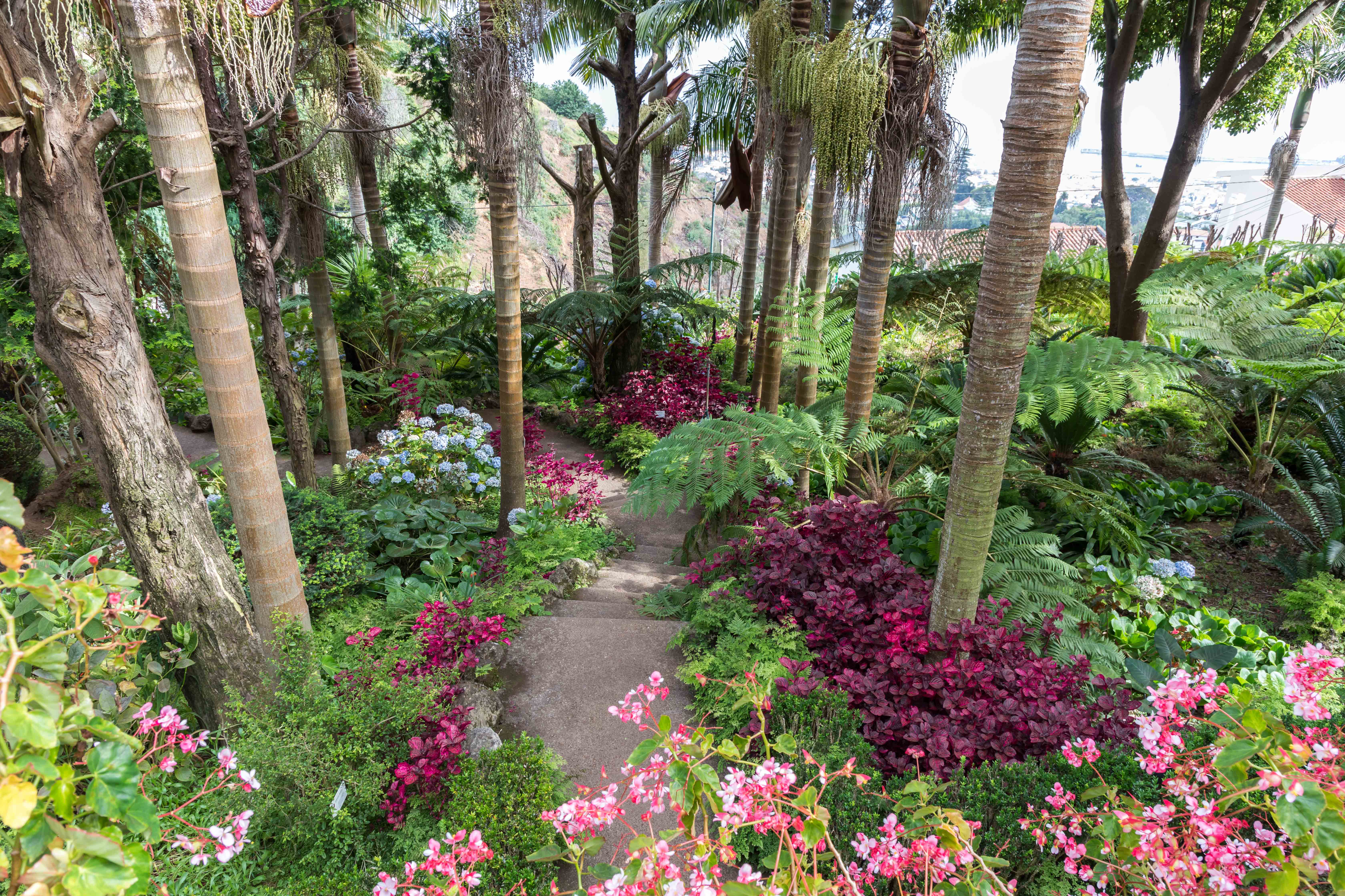 LE JARDIN TROPICAL MONTE PALACE MADEIRA