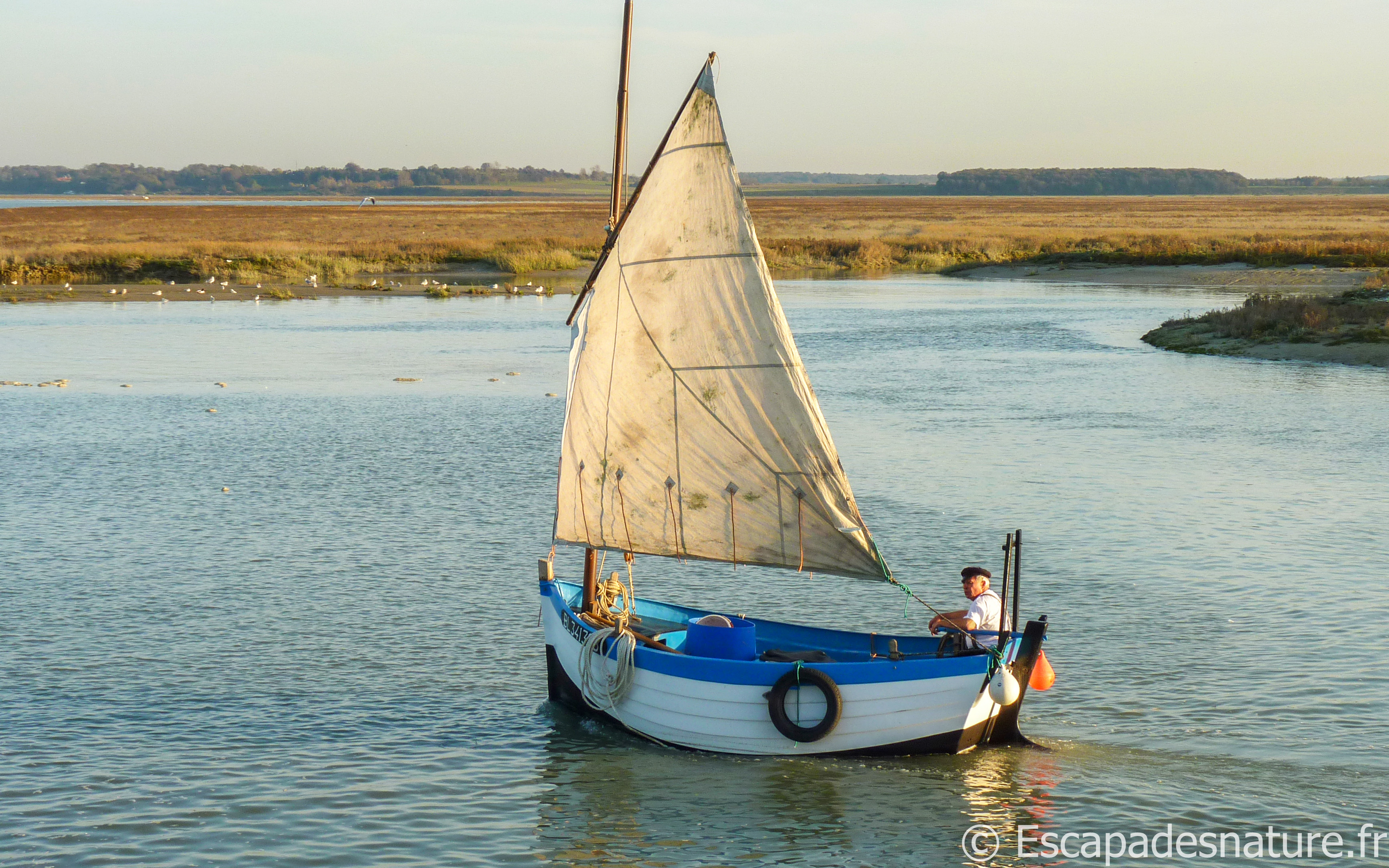 BAIE DE SOMME : LE HOURDEL