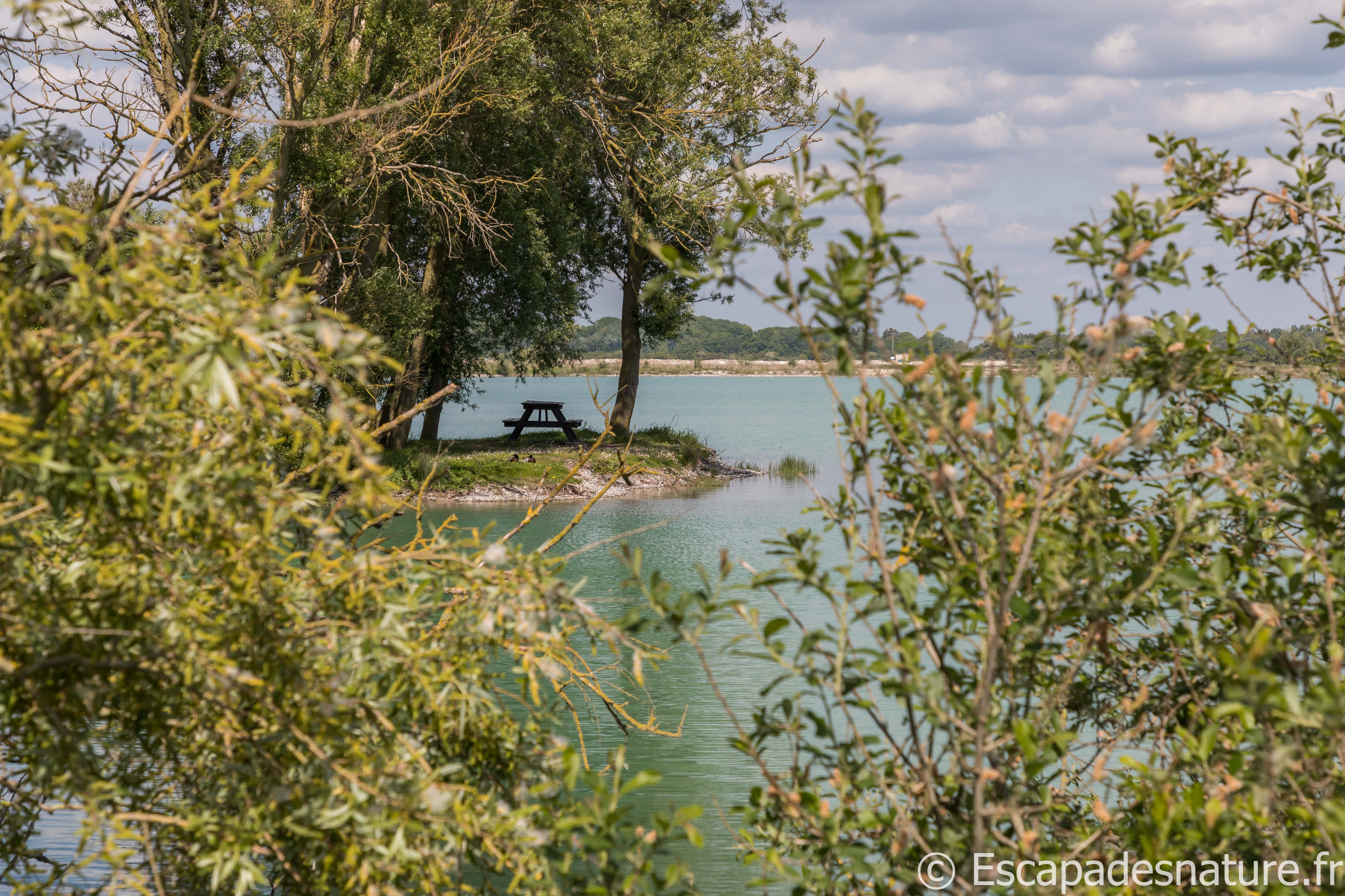 BAIE DE SOMME : RANDONNÉE ENTRE TERRE ET MER