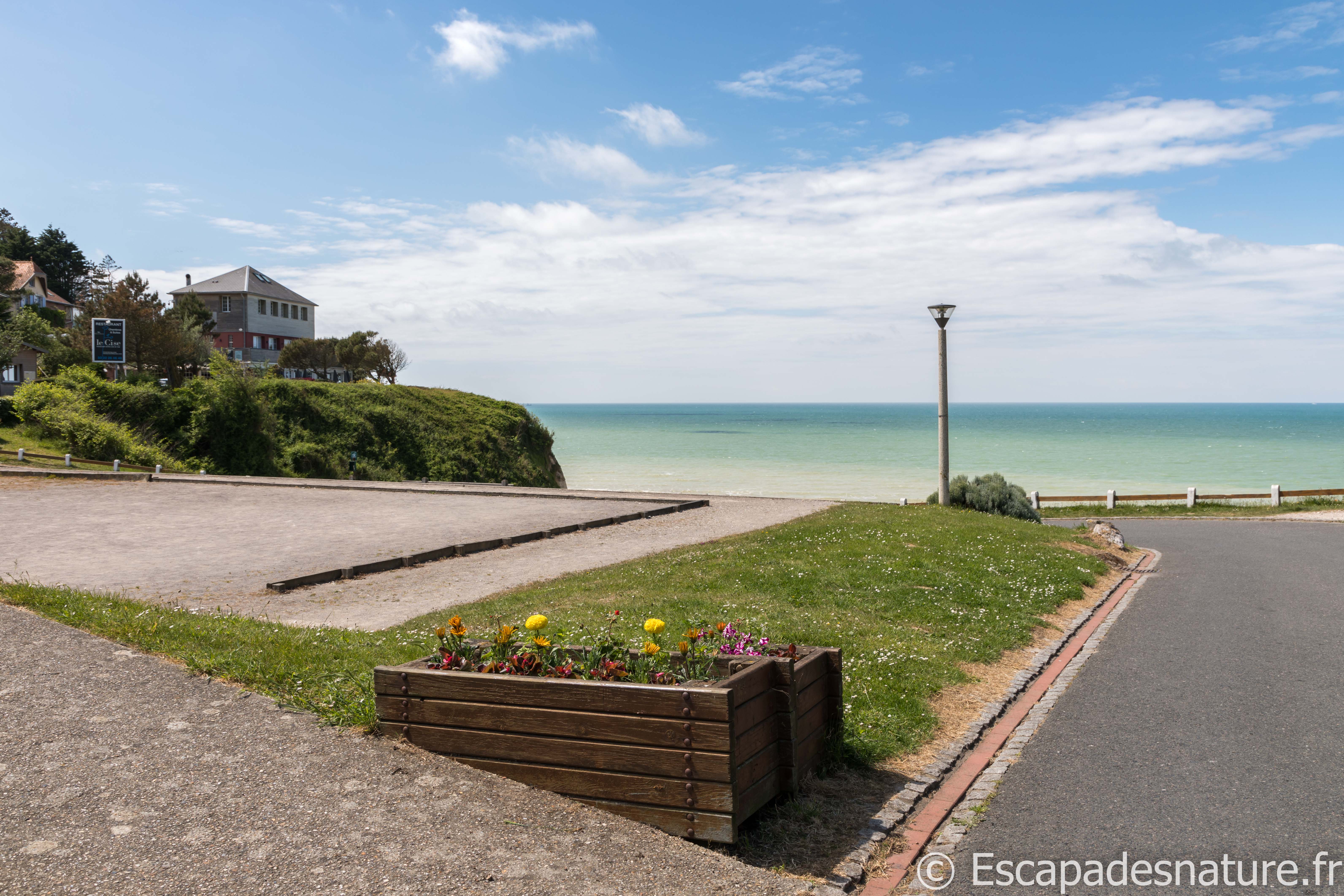 BAIE DE SOMME : LE BOIS DE CISE