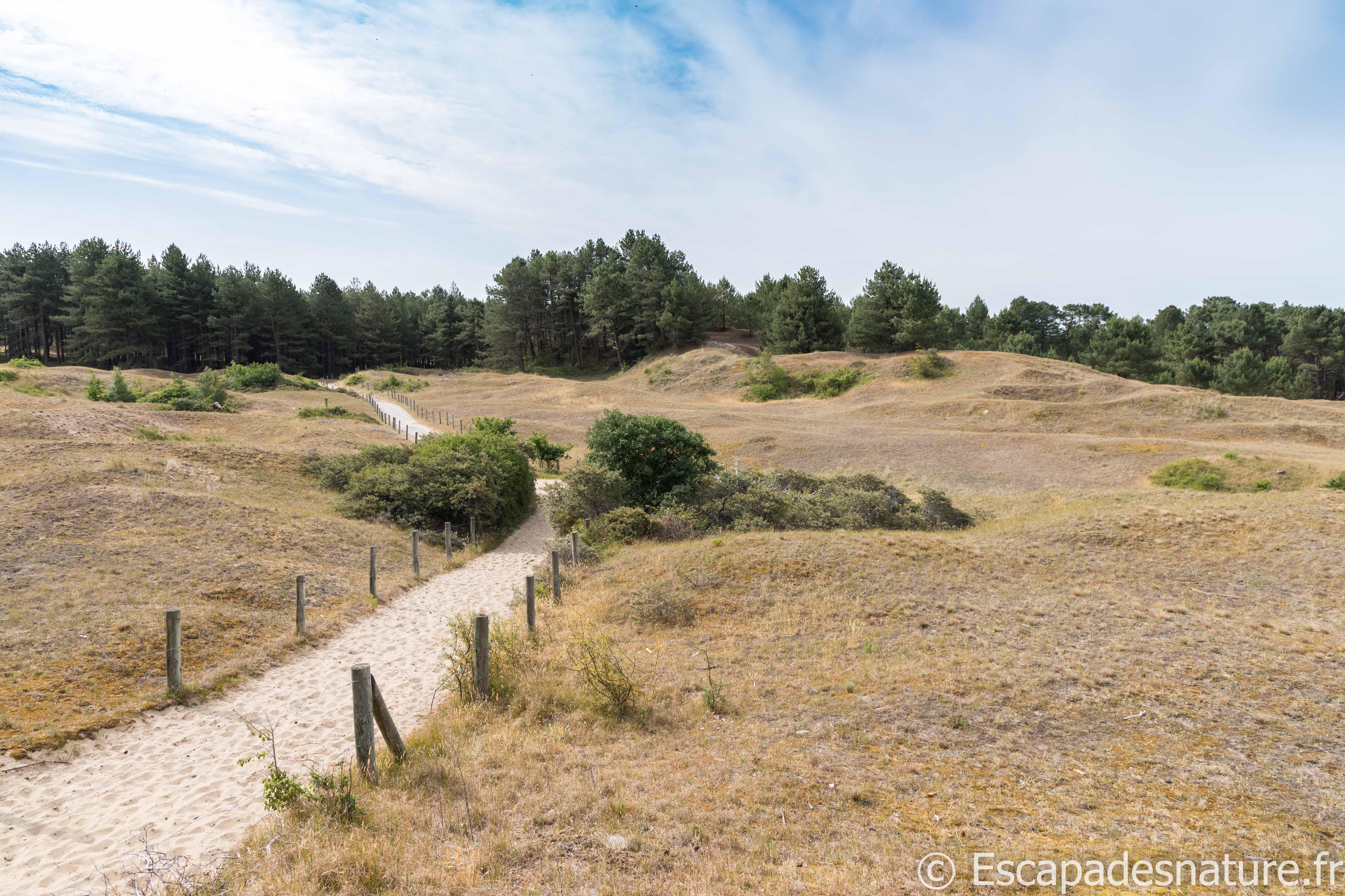 L’ASCENSION DU MONT SAINT-FRIEUX