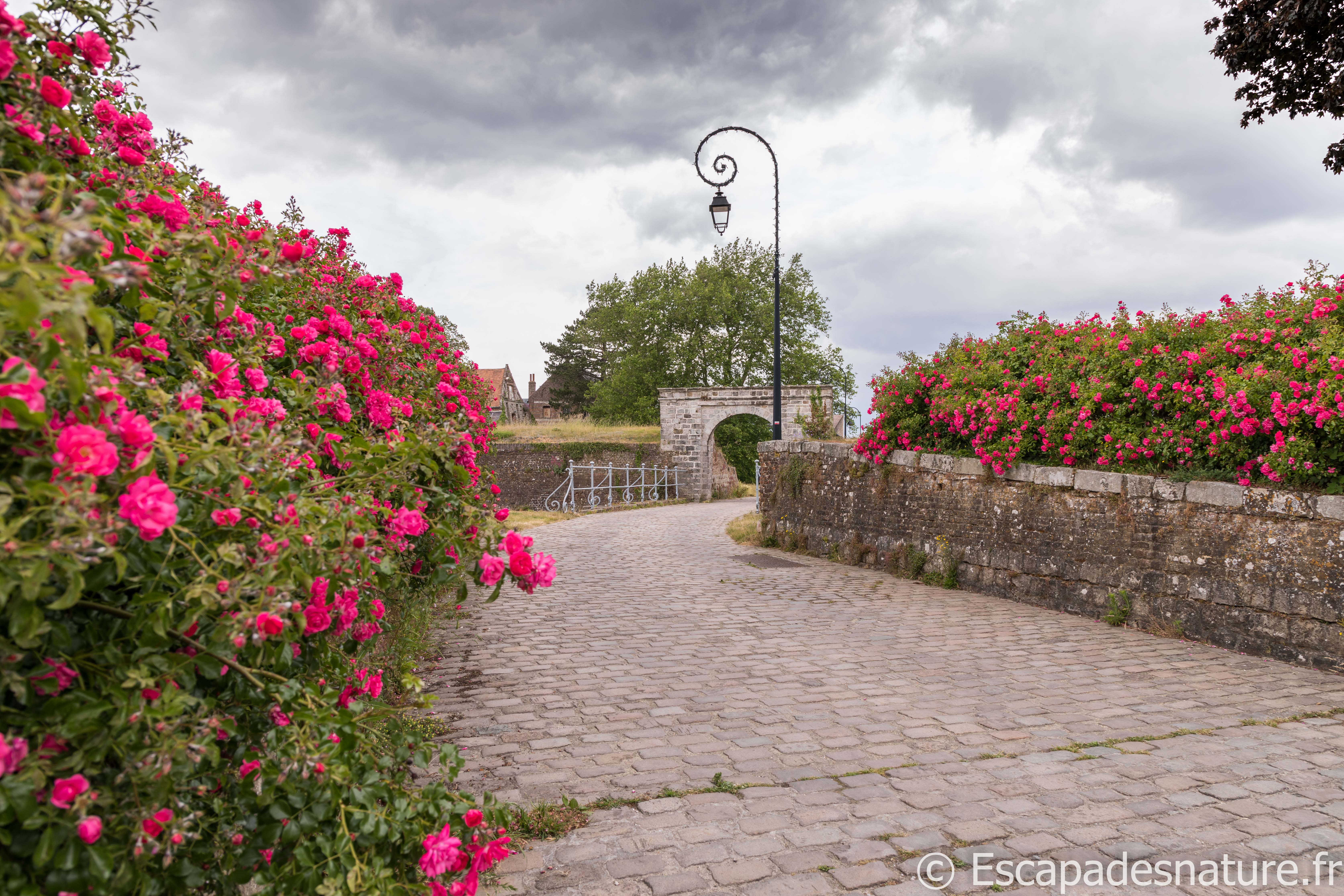 LA CITE FORTIFIEE DE MONTREUIL-SUR-MER