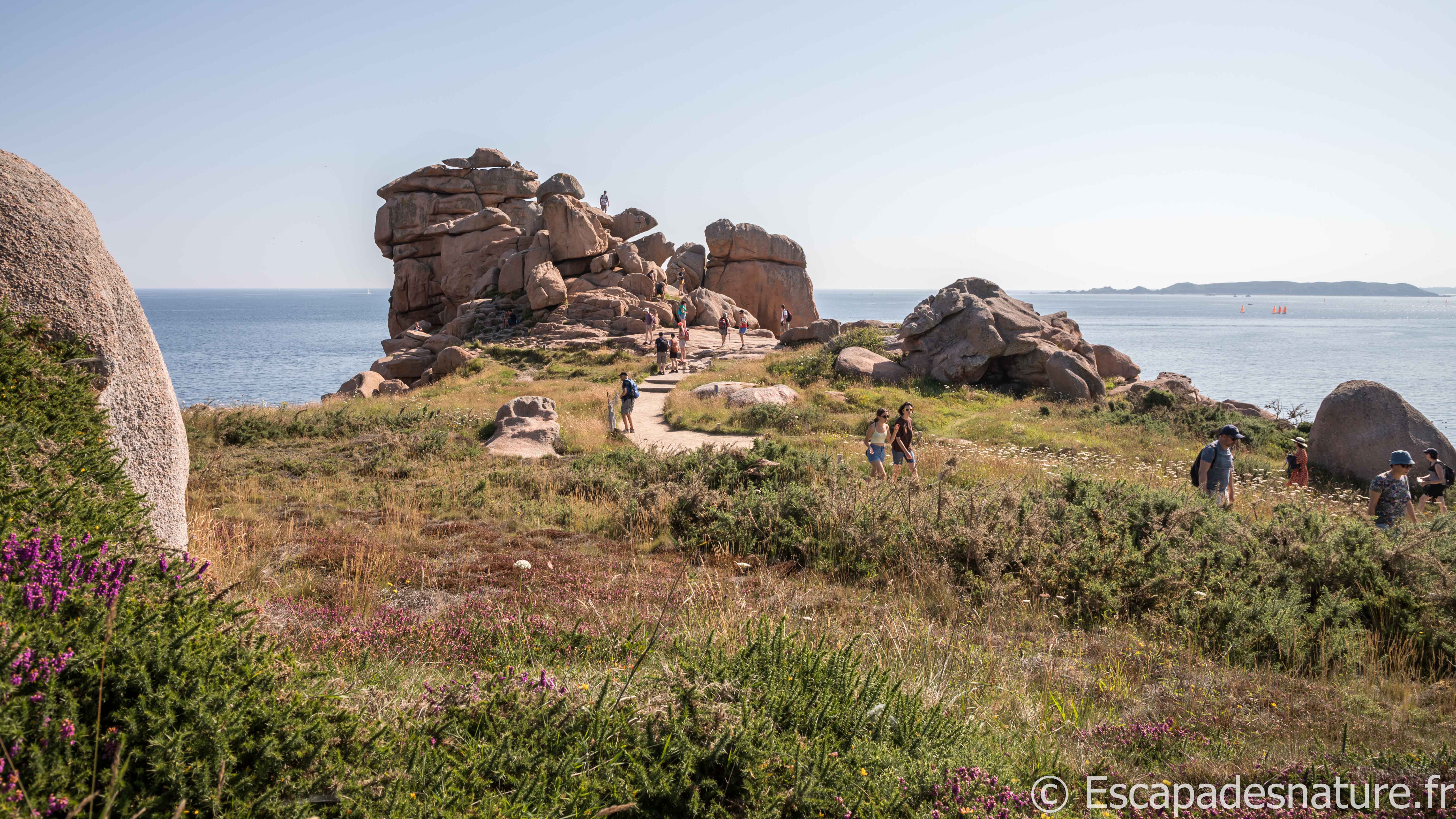 QUE VOIR ET QUE FAIRE SUR LA CÔTE DE GRANIT ROSE ?